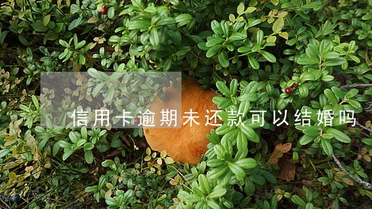 信用卡逾期未还款可以结婚吗 信用卡逾期未还款可以结婚吗