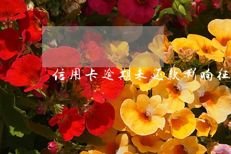 信用卡逾期未还款影响征信吗 信用卡逾期未还款影响征信吗