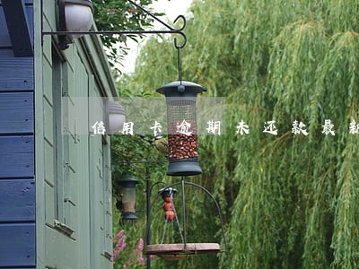 信用卡逾期未还款最新规定