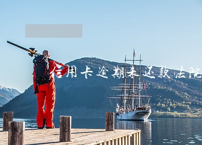 信用卡逾期未还款法院起诉状 信用卡逾期未还款法院起诉状