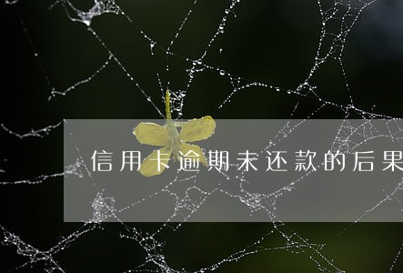 信用卡逾期未还款的后果是什么 信用卡逾期未还款的后果是什么