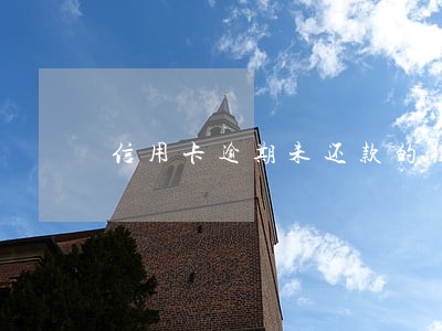 信用卡逾期未还款的须支付