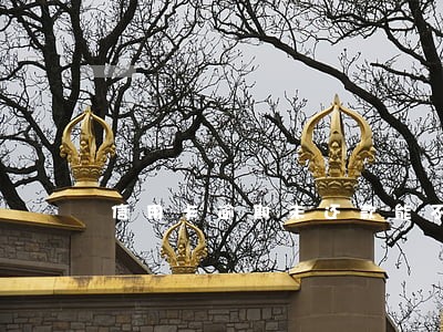 信用卡逾期未还款能不能贷款 信用卡逾期未还款能不能贷款
