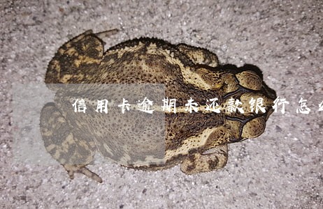 信用卡逾期未还款银行怎么样处理 信用卡逾期未还款银行怎么样处理