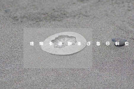 信用卡逾期未还每日利息