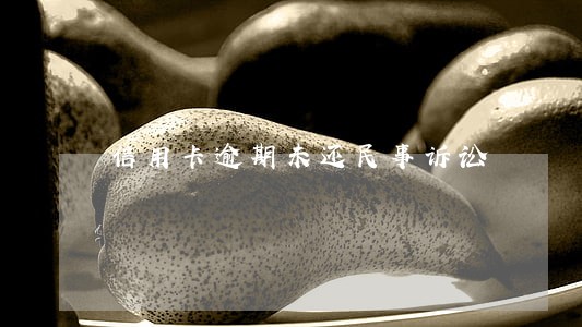 信用卡逾期未还民事诉讼 信用卡逾期未还民事诉讼