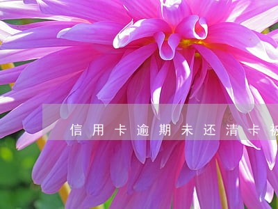 信用卡逾期未还清卡被注销吗 信用卡逾期未还清卡被注销吗