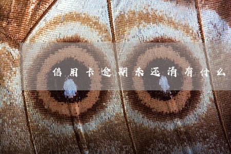 信用卡逾期未还清有什么后果 信用卡逾期未还清有什么后果