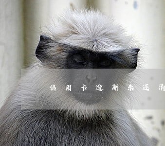 信用卡逾期未还清能注销吗