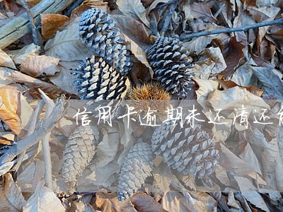 信用卡逾期未还清还能用吗