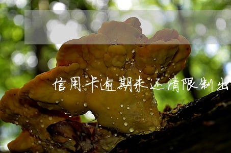 信用卡逾期未还清限制出行