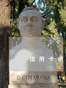 信用卡逾期未还的人能坐飞机吗 信用卡逾期未还的人能坐飞机吗