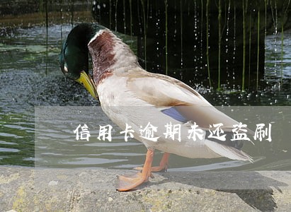 信用卡逾期未还盗刷 信用卡逾期未还盗刷