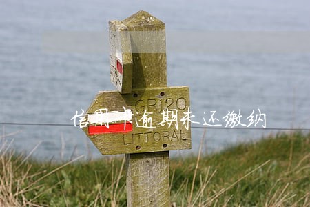 信用卡逾期未还缴纳 信用卡逾期未还缴纳