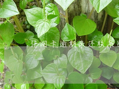 信用卡逾期未还联系别人 信用卡逾期未还联系别人