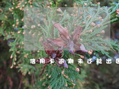 信用卡逾期未还能出国打工吗 信用卡逾期未还能出国打工吗