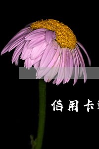 信用卡逾期未还能办港澳台签证吗 信用卡逾期未还能办港澳台签证吗