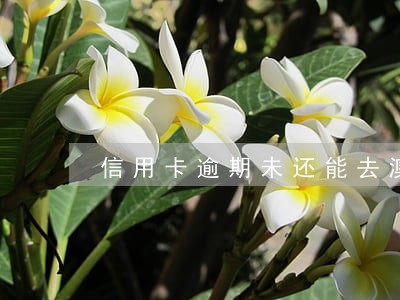 信用卡逾期未还能去澳门吗 信用卡逾期未还能去澳门吗