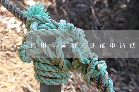 信用卡逾期未还能申请低保