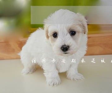 信用卡逾期未还被核销 信用卡逾期未还被核销