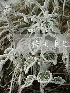 信用卡逾期未还被银行起诉怎么办 信用卡逾期未还被银行起诉怎么办