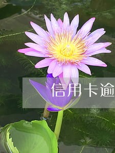 信用卡逾期未还触犯民典法怎么办
