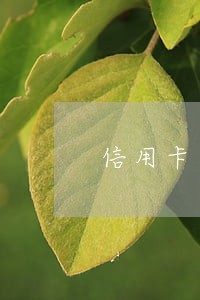 信用卡逾期未还警察