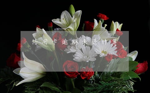 信用卡逾期未还计算 信用卡逾期未还计算