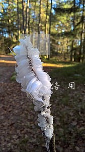 信用卡逾期未还记录吗 信用卡逾期未还记录吗