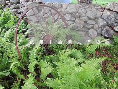 信用卡逾期未还贷款