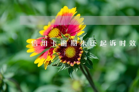 信用卡逾期未还起诉时效 信用卡逾期未还起诉时效