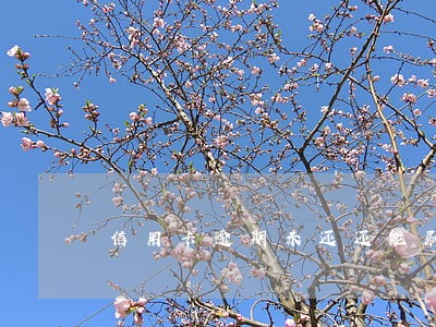 信用卡逾期未还还能刷吗 信用卡逾期未还还能刷吗