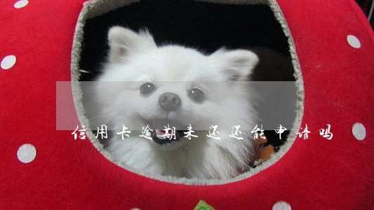 信用卡逾期未还还能申请吗 信用卡逾期未还还能申请吗