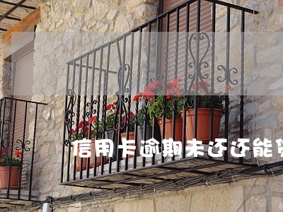 信用卡逾期未还还能贷款 信用卡逾期未还还能贷款