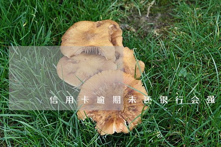 信用卡逾期未还银行会强行扣款吗 信用卡逾期未还银行会强行扣款吗