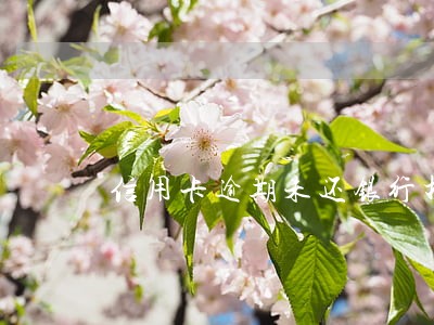 信用卡逾期未还银行打电话