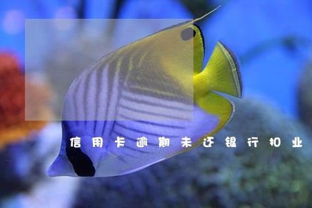 信用卡逾期未还银行扣业主养老金 信用卡逾期未还银行扣业主养老金