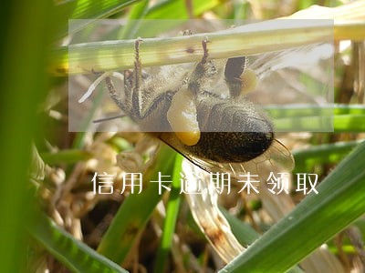 信用卡逾期未领取 信用卡逾期未领取