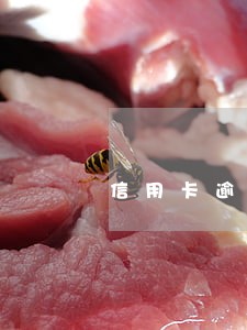 信用卡逾期未验证 信用卡逾期未验证