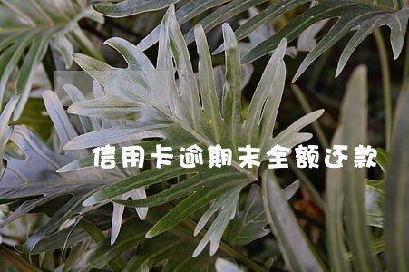 信用卡逾期末全额还款