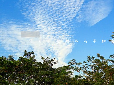 信用卡逾期本人不知道怎么办 信用卡逾期本人不知道怎么办