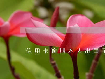 信用卡逾期本人出国了怎么办 信用卡逾期本人出国了怎么办