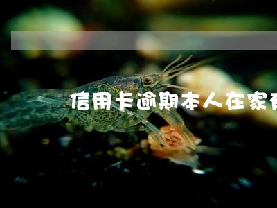 信用卡逾期本人在家有事吗 信用卡逾期本人在家有事吗