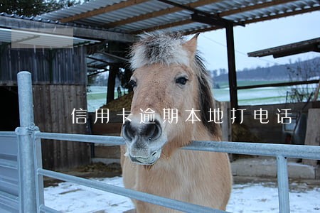 信用卡逾期本地打电话 信用卡逾期本地打电话