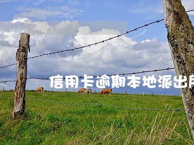 信用卡逾期本地派出所立案 信用卡逾期本地派出所立案