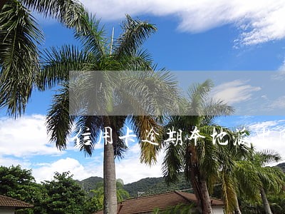 信用卡逾期本地派出所立案吗 信用卡逾期本地派出所立案吗