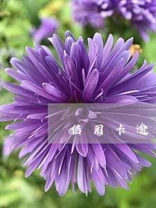 信用卡逾期本地银行不管