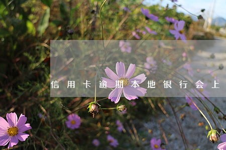 信用卡逾期本地银行会上门吗 信用卡逾期本地银行会上门吗