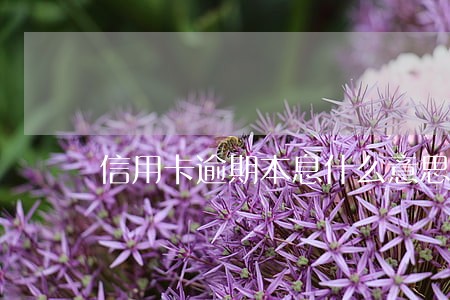信用卡逾期本息什么意思