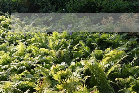 信用卡逾期本月打征信会显示嘛 信用卡逾期本月打征信会显示嘛